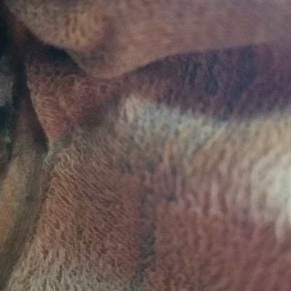 Shoes - Picture 6 of 7